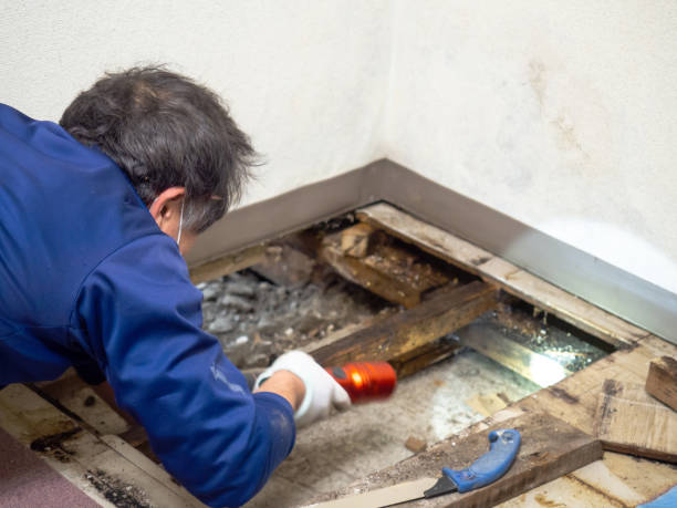 Water Damage Restoration in North Riverside, IL