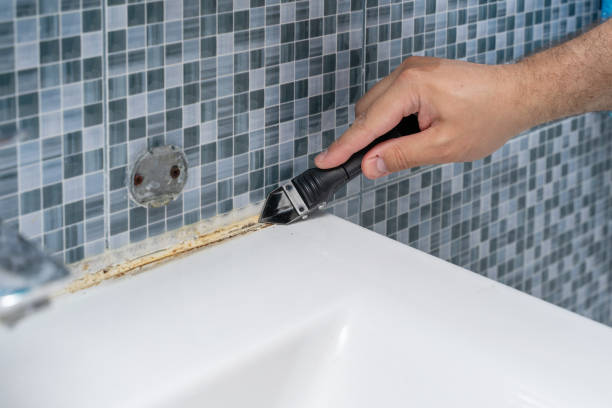 Reliable North Riverside, IL Mold Removal Solutions